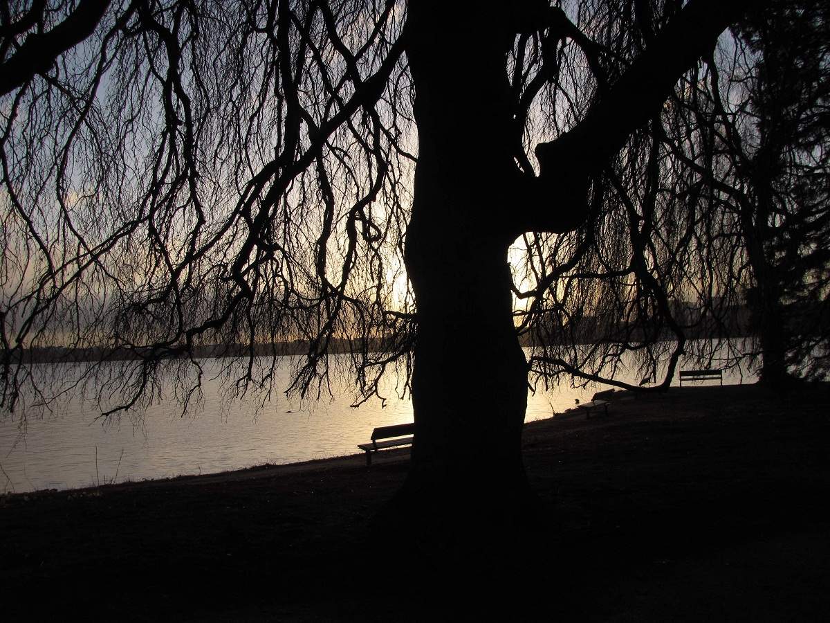 An der Alster