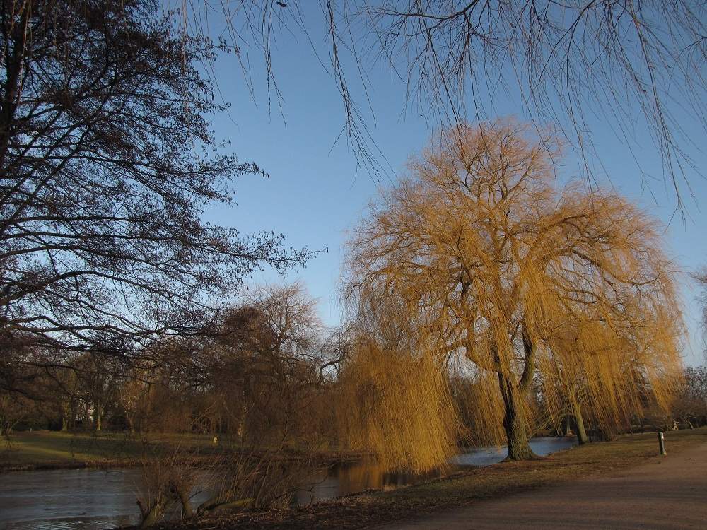 An der Alster