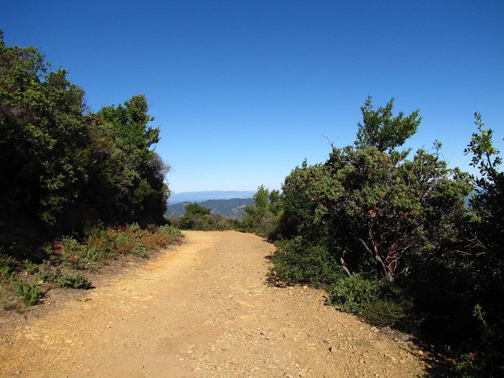 Eldridge Grade - Mount Tamalpais