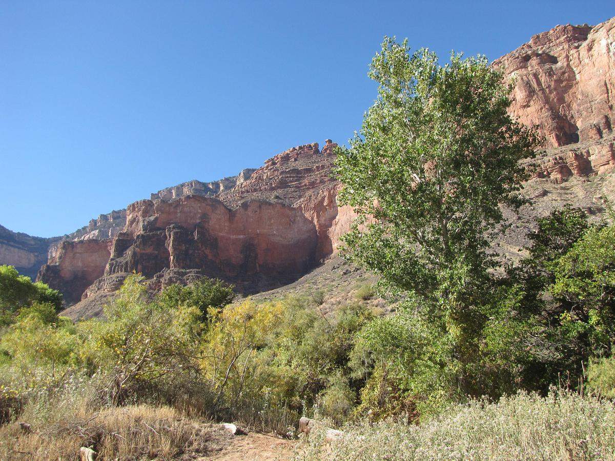 Grand Canyon in gr�n