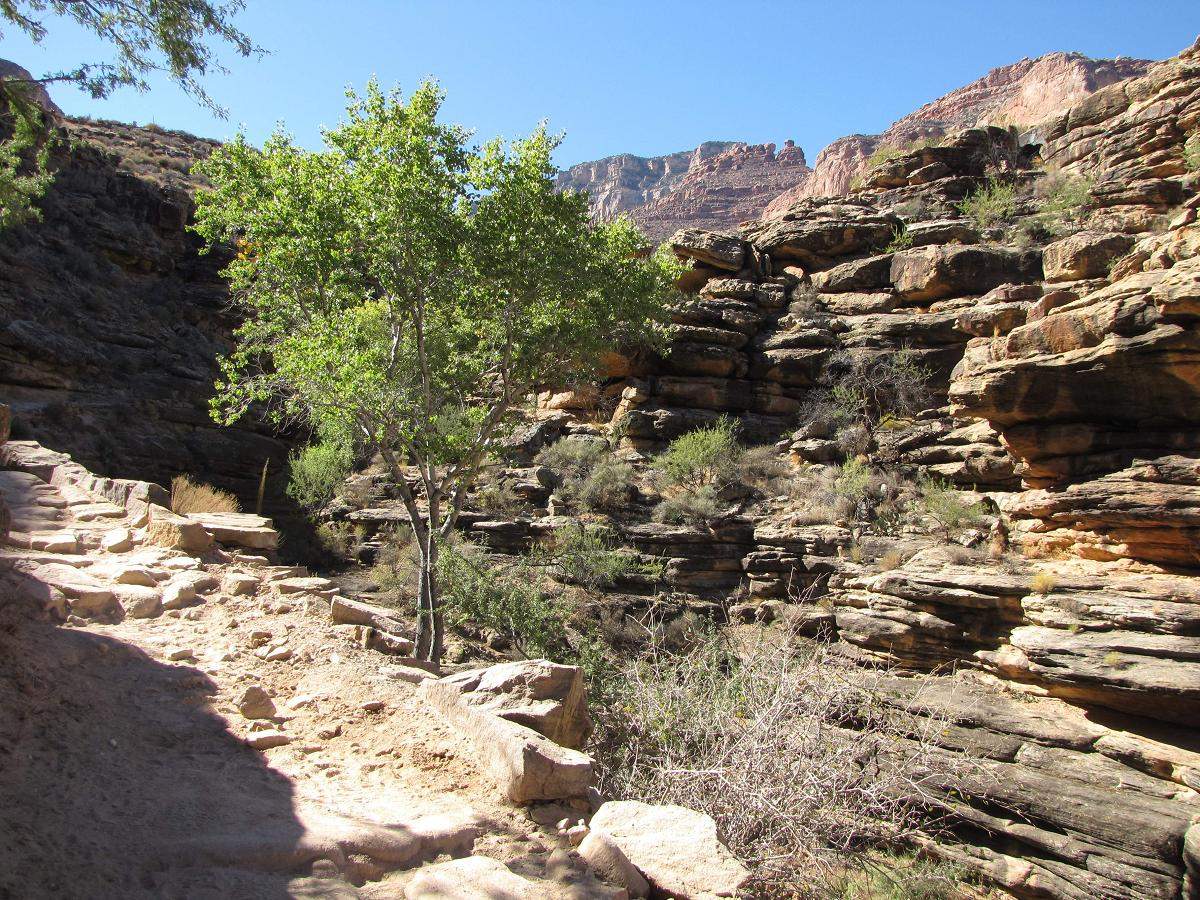 Grand Canyon Bright Angel Trail