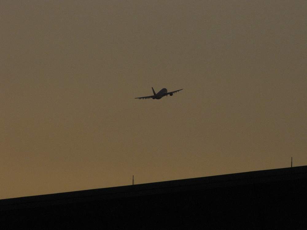 Fly, fly away