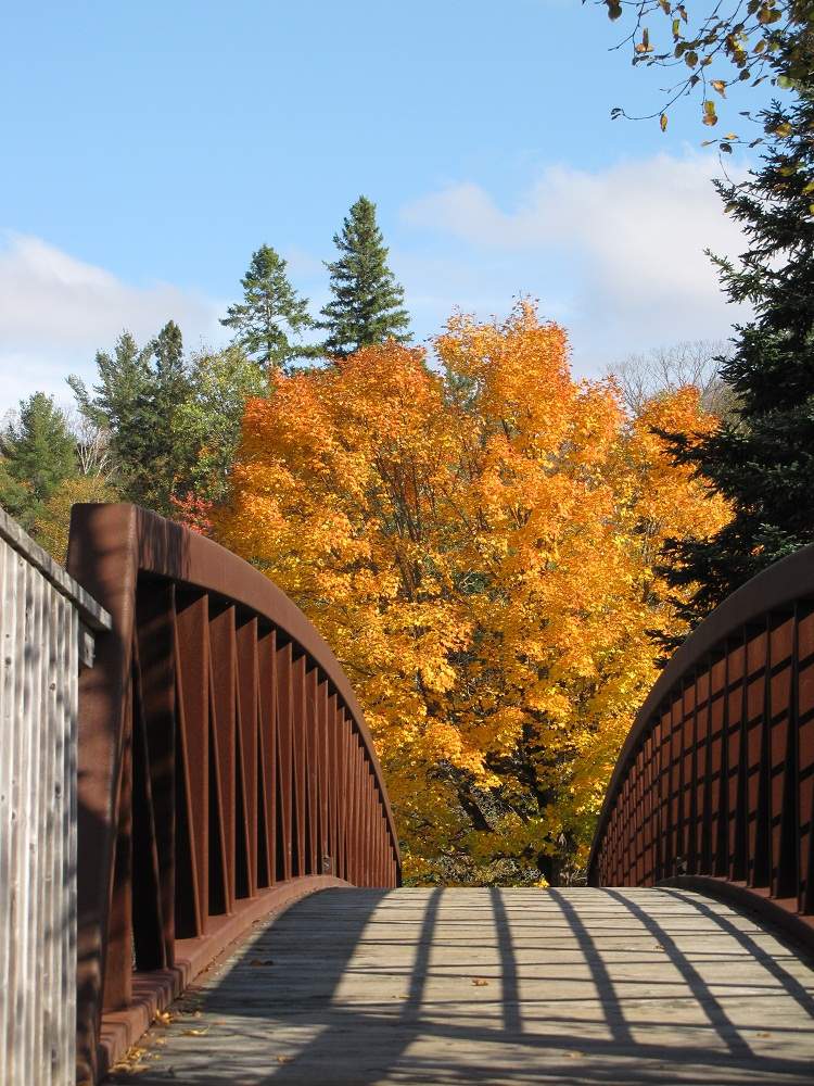 Algonquin Provincial Park