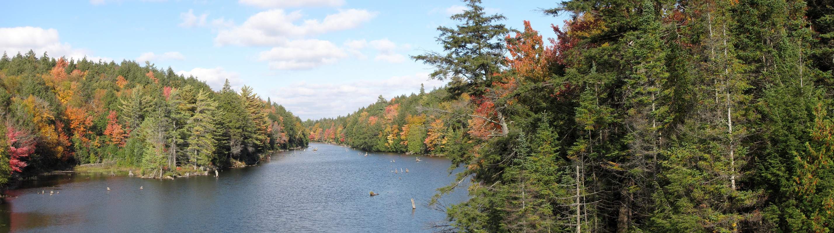 Smoke Creek Panorama