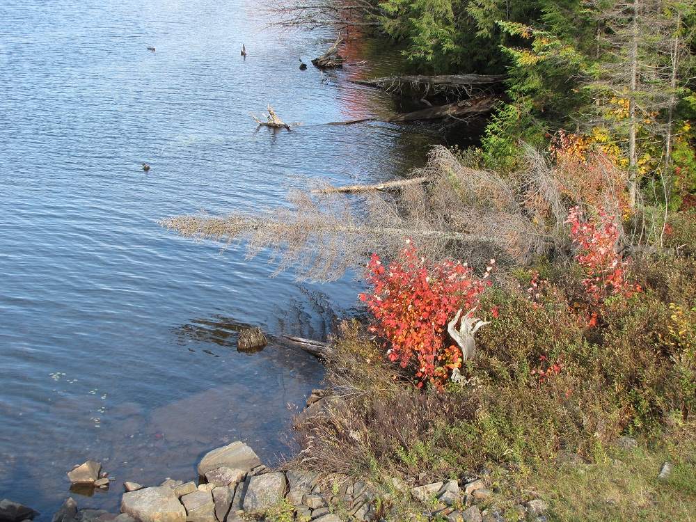 Algonquin Provincial Park
