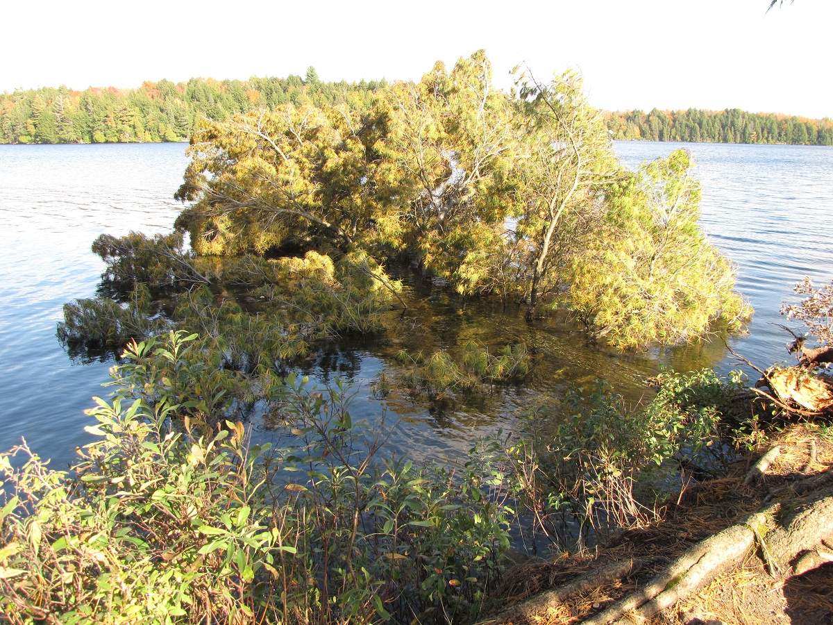 Algonquin Provincial Park