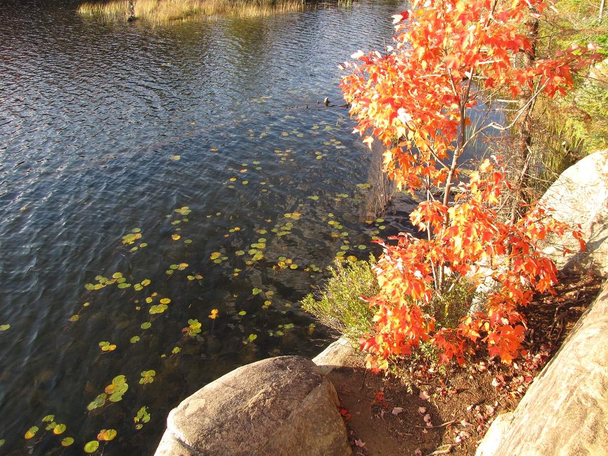 Algonquin Provincial Park - Peck Lake