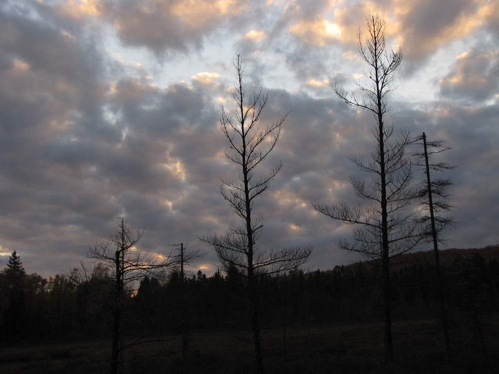Algonquin Provincial Park