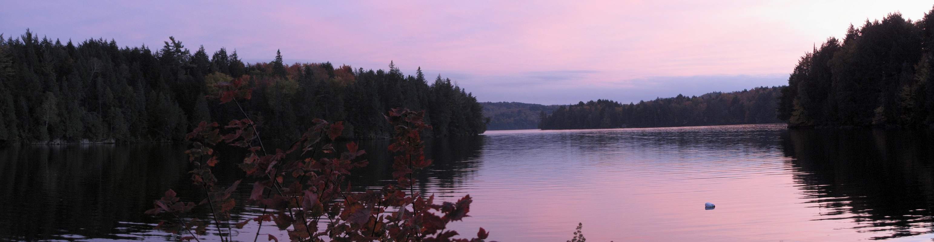 Panorama of Algonquin Provincial Park