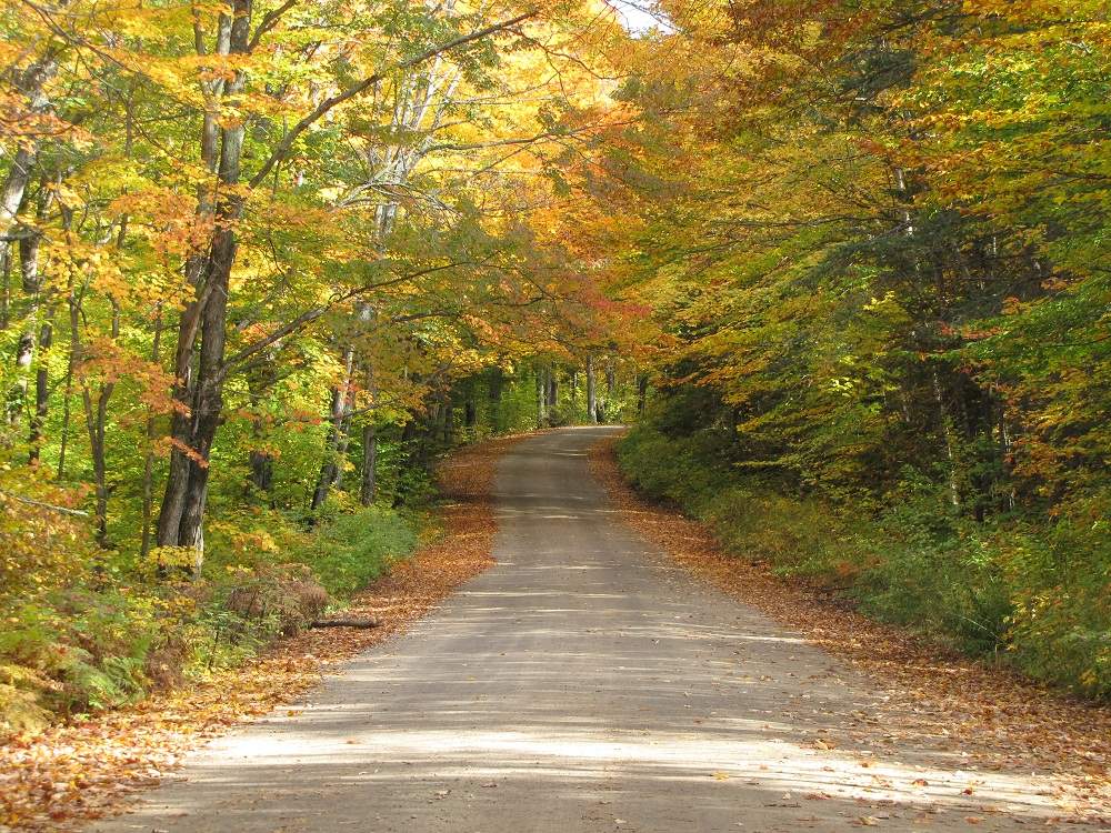 Algonquin Provincial Park