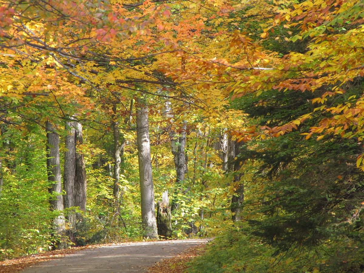 Algonquin Provincial Park