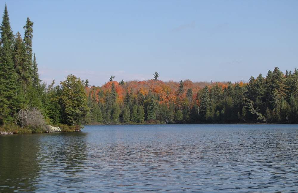 Algonquin Provincial Park