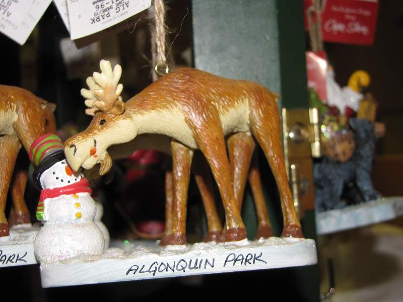 Algonquin Provincial Park