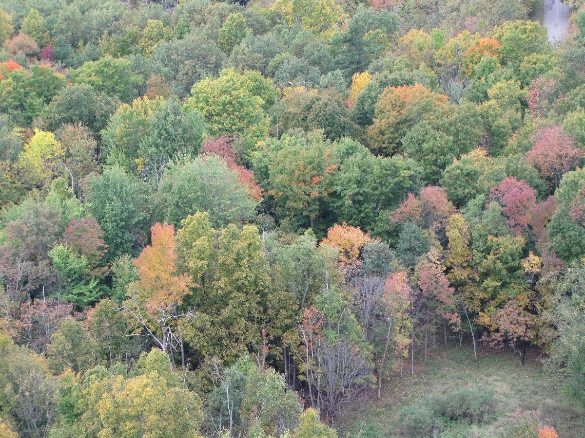 Indian Summer - 1.000 Islands