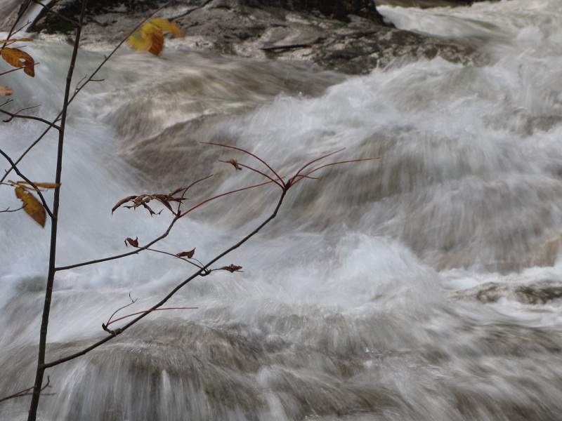 Franconia Notch State Park