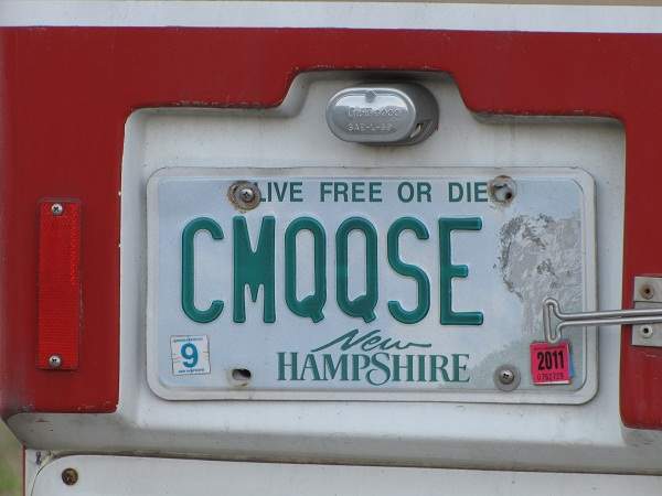 Elchsafari. White Mountains