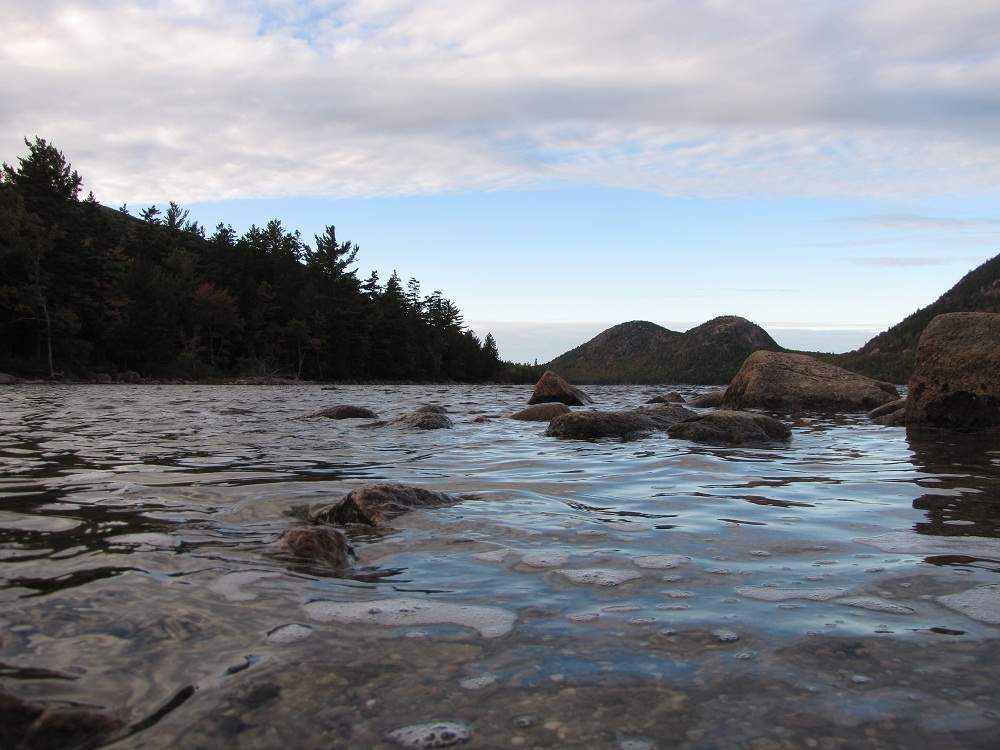 Jordan Pond - Adacia