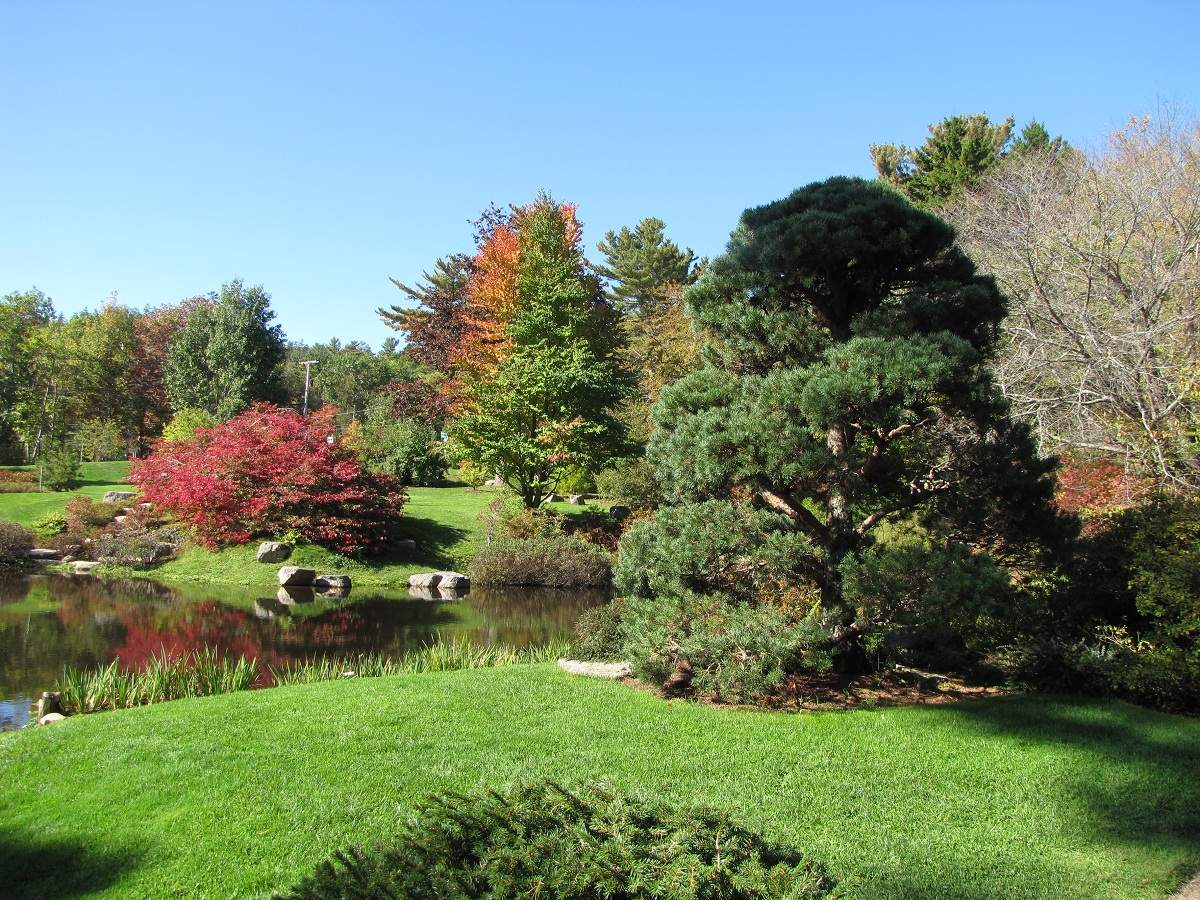 Asticou Azalea Garden