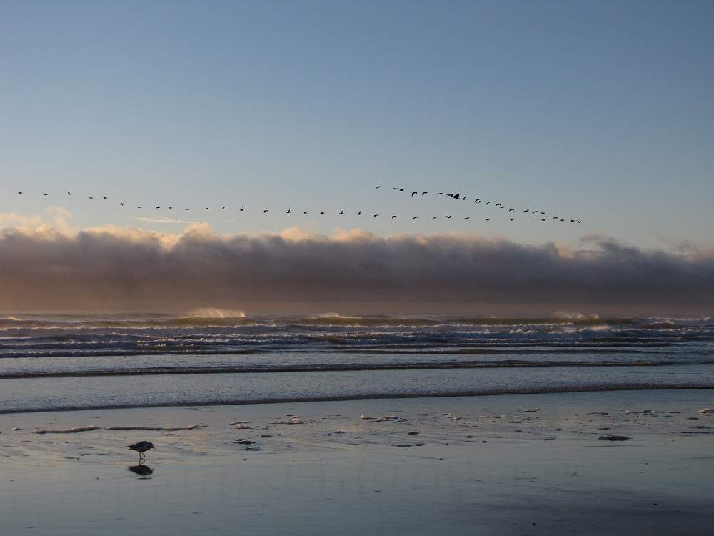 Fr&uuml;her Morgen in Ogunquit