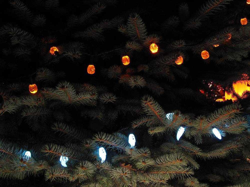 Halloween Haus, Newport, Rhode Island