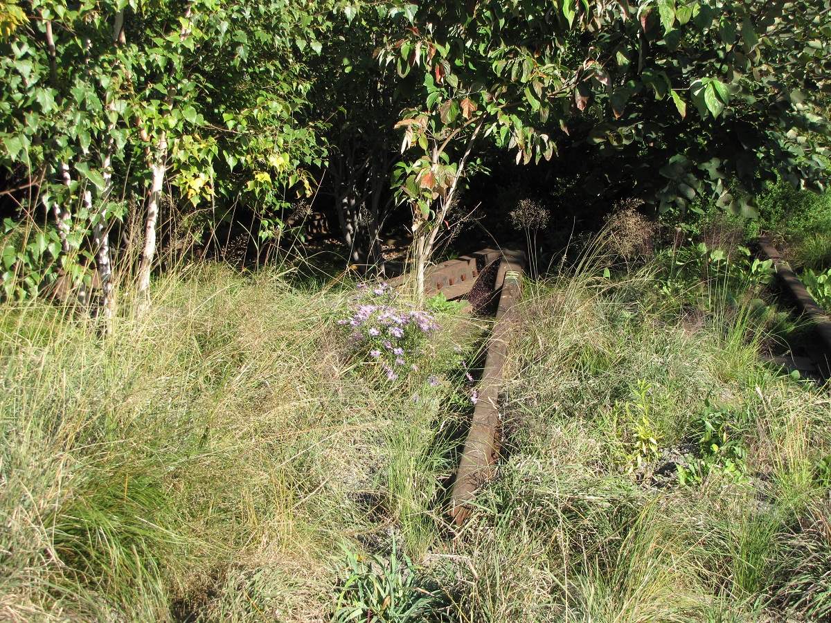 Highline Park, New York City
