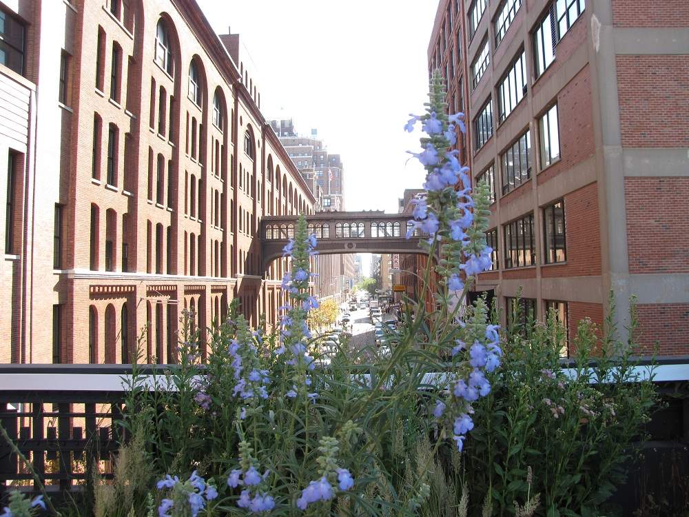Highline Park, New York City