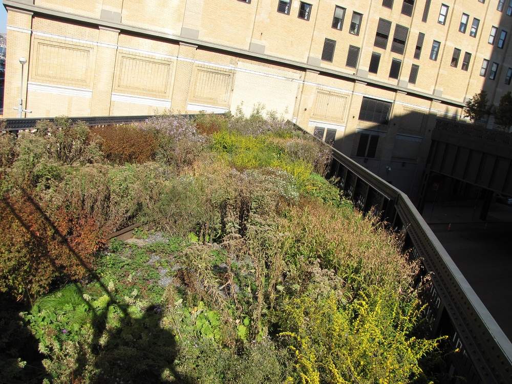 Highline Park, New York City