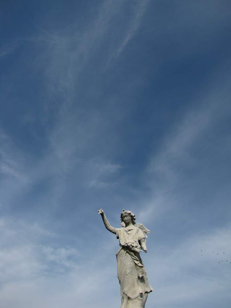 Auf dem Calvary Cemetery, Queens, New York City
