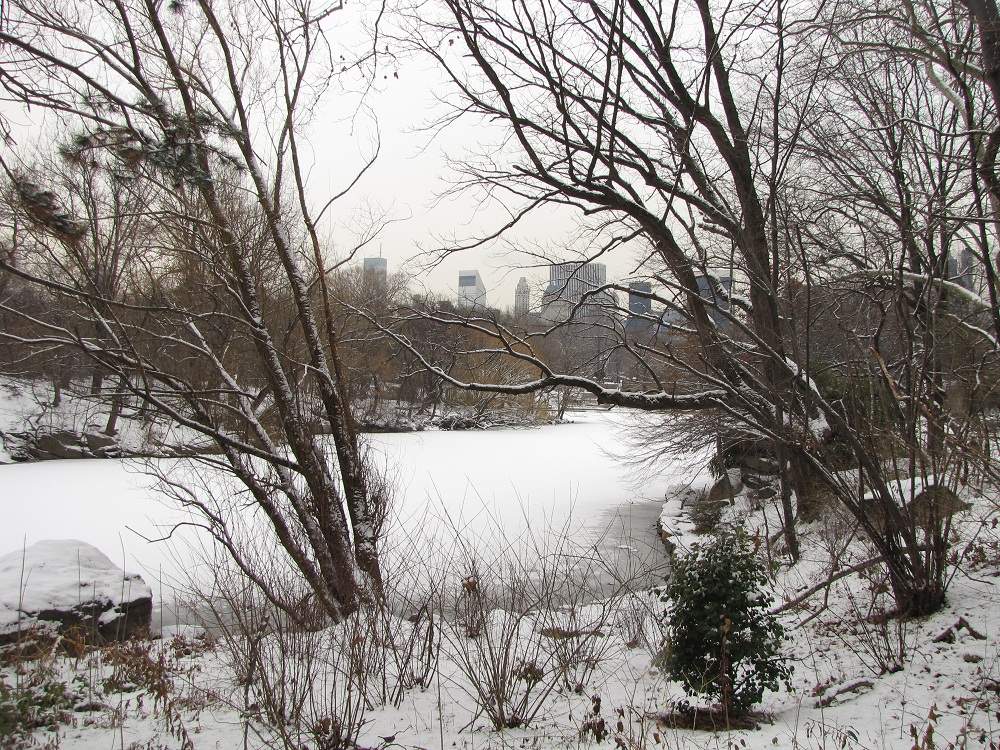 Reisebericht USA 2011 - New York City - Bilderseiten - Central Park