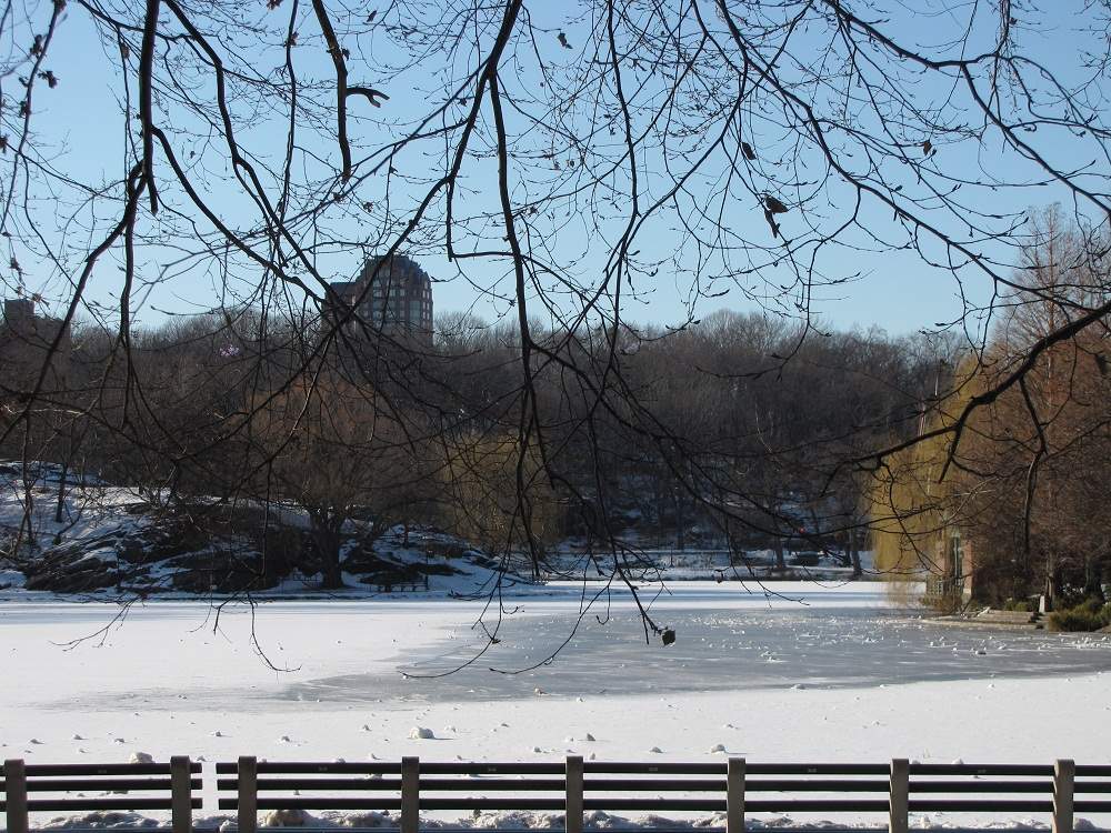 Central Park