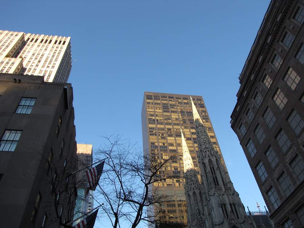 5th Avenue Panorama