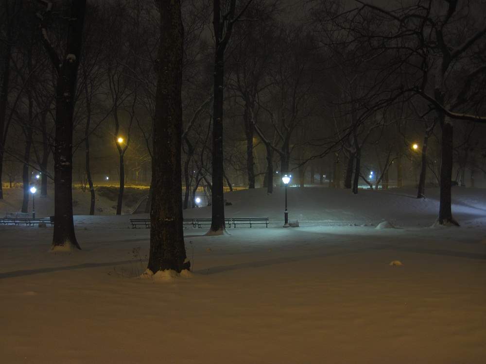 Central Park bei Nacht