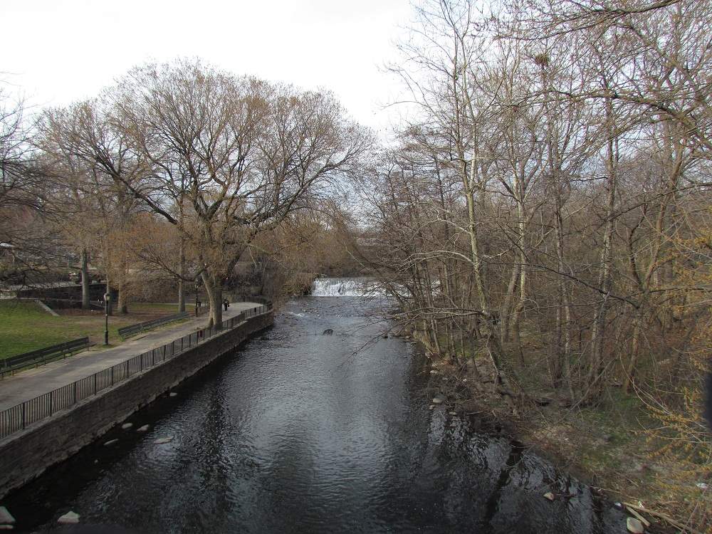 NYC Bronx