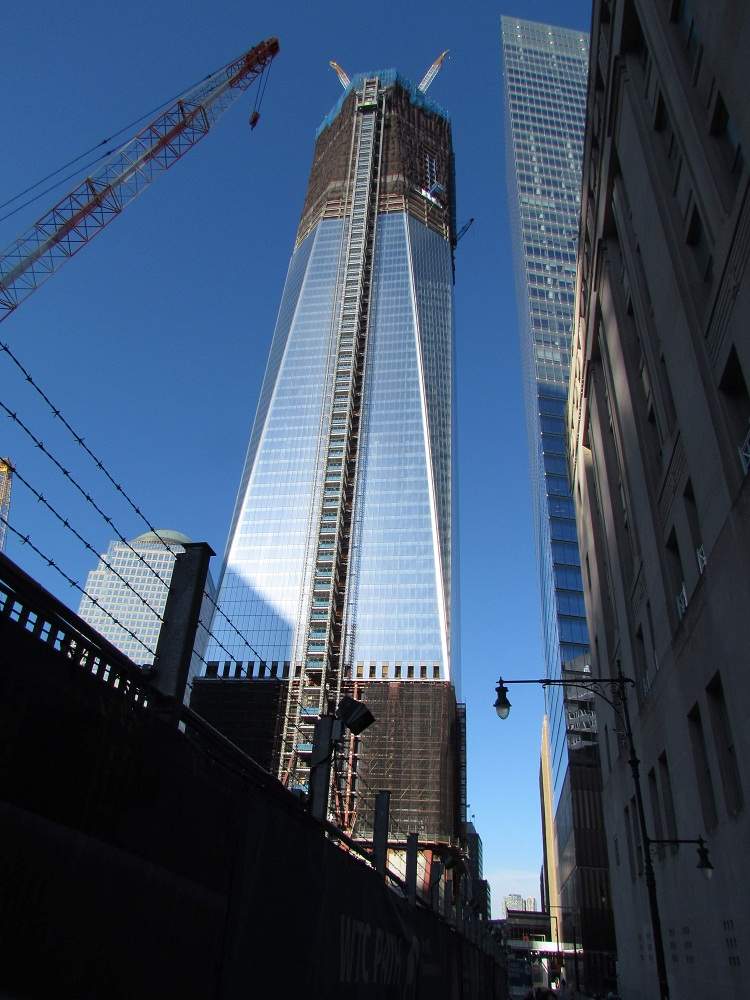 WTC1