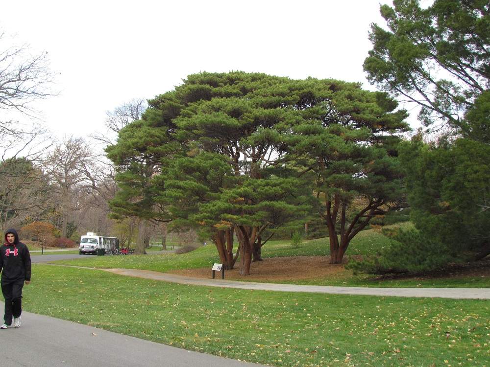 New York City - Bronx Botanical Garden